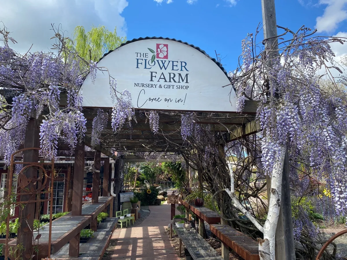 The Flower Farm in Loomis