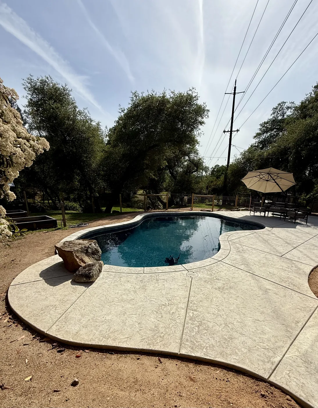 Kidney-shaped pool with a boulder accent and a wide stamped concrete deck under oak trees in Newcastle